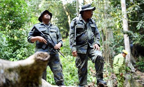 NS07_08082019_OPERASI_BN201908057183