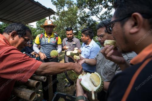 NS07_09012018_DURIAN