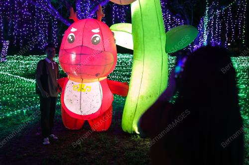 LUNA LIGHTS WONDERLAND