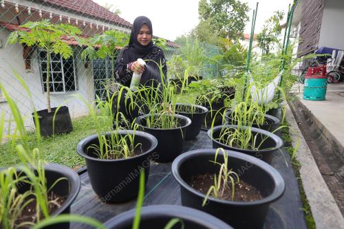 SITI AAI SHAH RAHMAN SHAH