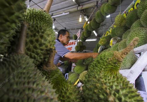 NS07_17062019_DURIAN_REMBAU
