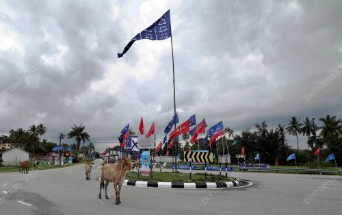 HATI-HATI PULANG MENGUDI PRU-15