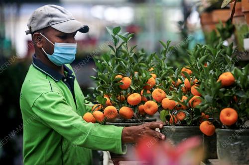 PERSIAPAN TAHUN BARU CINA