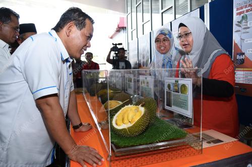 NS07_19072019_PESTA_DURIAN
