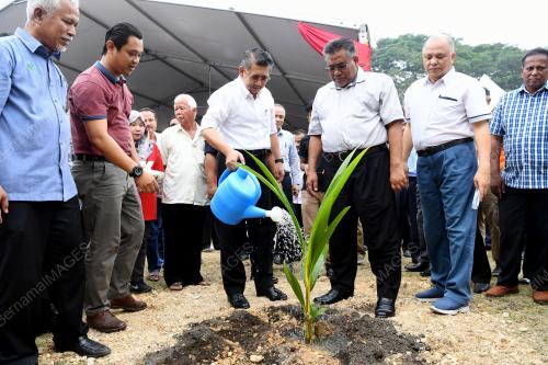 NS07_2003119_KELAPA_BN201903193833_20032019
