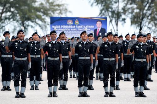 DATUK SERI SAIFUDDIN NASUTION ISMAIL