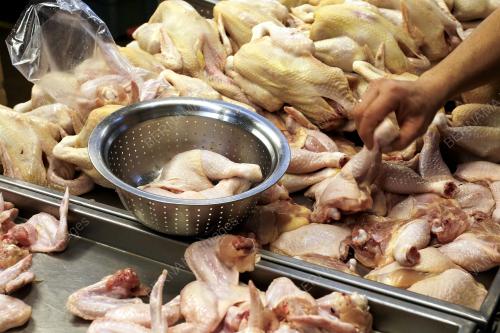 BEKALAN AYAM DI SEREMBAN