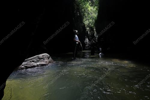 PERHUTANAN HUTAN SIMPAN