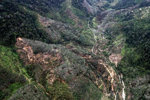 TINJAUAN UDARA JBPM LOKASI KEKERAPAN BANJIR
