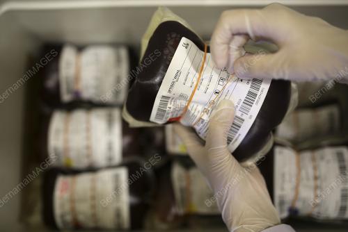 PUSAT DERMA DARAH