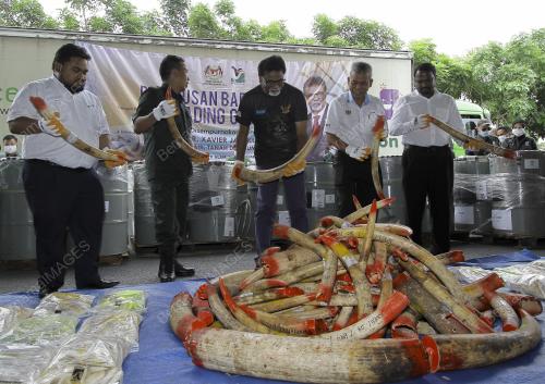 NS07_30042019_GADING_GAJAH_BN201904298267