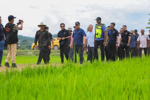 DATUK SERI MOHAMAD SABU