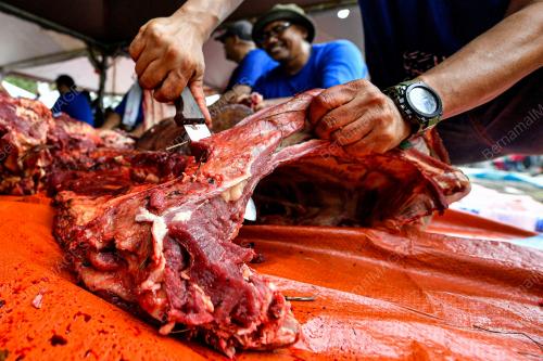 QURBAN AIDILADHA