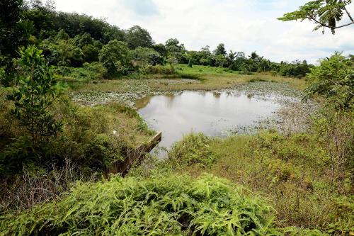 NS08_07112016_TAMAN_TERBIAR