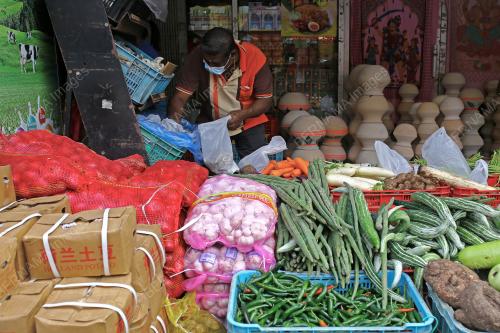 PERSIAPAN PERAYAAN PONGGAL
