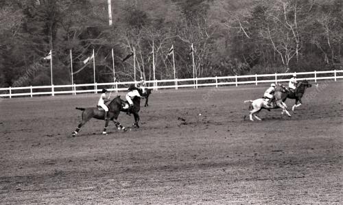 NS08_12012015_POLO_ATM