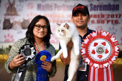 NS08_16122017_PETS_BN201712134110