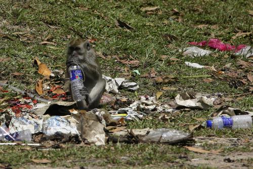 PEMBUANGAN SAMPAH MERATA UNDANG HAIWAN LIAR