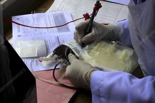 PUSAT DERMA DARAH