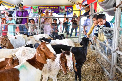NEGERI SEMBILAN FEST