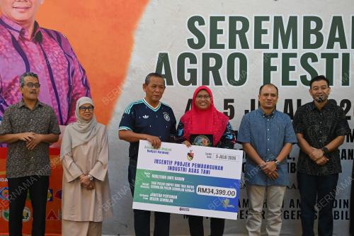 DATUK SERI AMINUDDIN HARUN