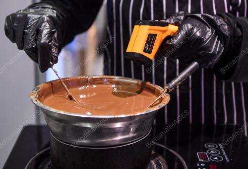 HARI COKLAT SEDUNIA