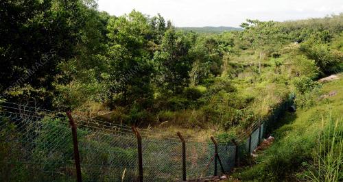 NS09_07112016_TAMAN_TERBIAR