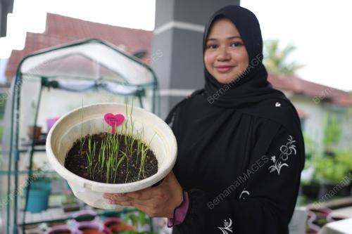SITI AAI SHAH RAHMAN SHAH