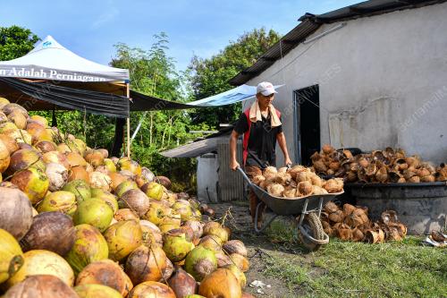 KELAPA RAYA