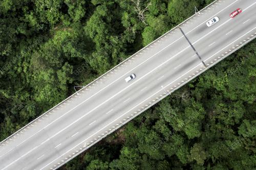 HARI HUTAN ANTARABANGSA 2022