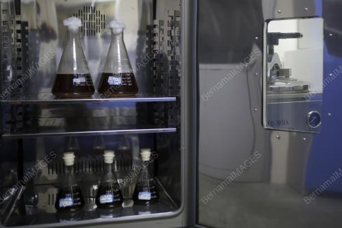 SERBUAN SINDIKET PENGILANGAN MINUMAN KERAS