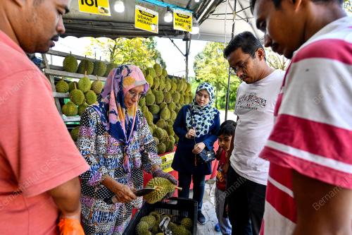 MUSIM DURIAN