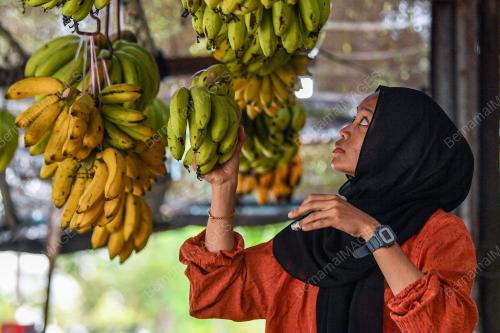 BUAH-BUAHAN TEMPATAN