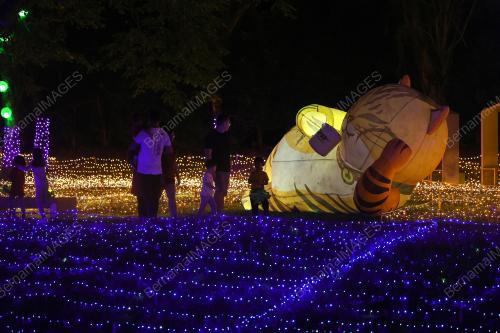 LUNA LIGHTS WONDERLAND