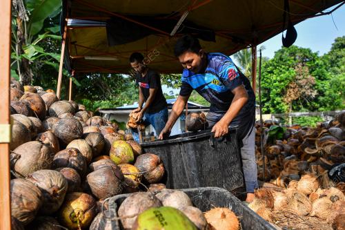 KELAPA RAYA