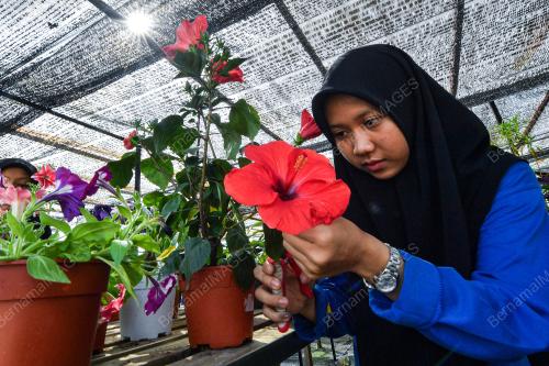 FADHLINA SIDEK