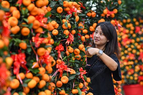 HIASAN TAHUN BAHARU CINA