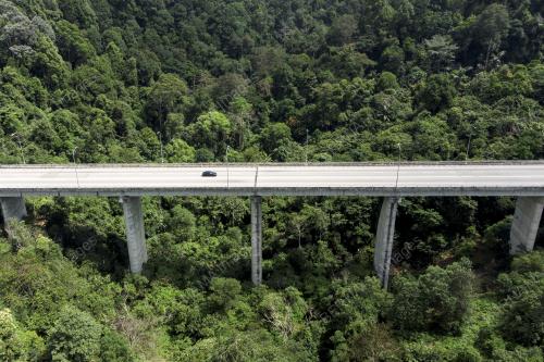 HARI HUTAN ANTARABANGSA 2022
