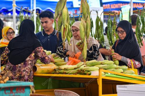 NEGERI SEMBILAN FEST