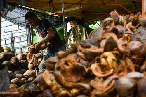 KELAPA RAYA