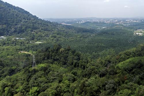 HARI HUTAN ANTARABANGSA 2022