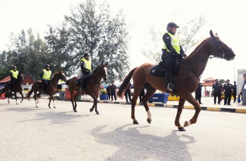 NS12_02112016_POLIS_KUDA