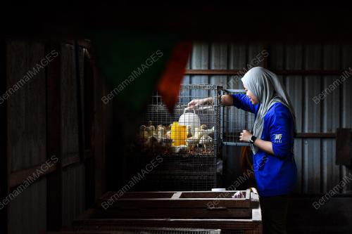 INPUT SEKTOR PERTANIAN SIFAR CUKAI JUALAN