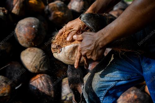 KELAPA RAYA