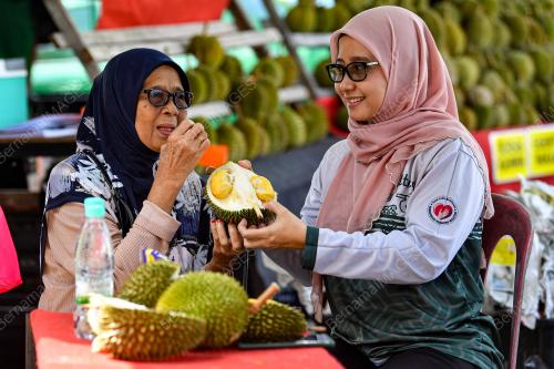 MUSIM DURIAN