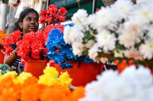 BUNGA MALAI THAIPUSAM