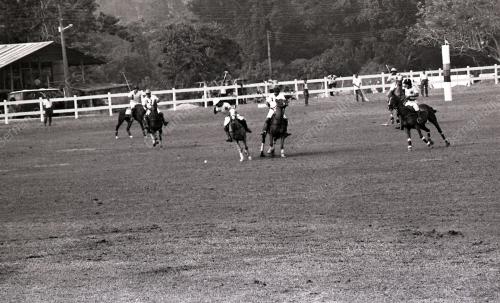 NS13_12012015_POLO_ATM