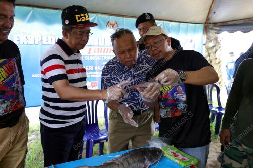 DATUK SERI JALALUDDIN ALIAS