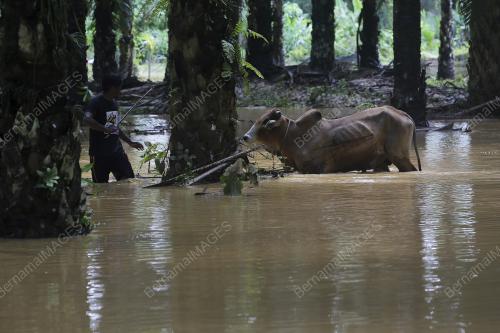 TINJAUAN BANJIR KILAT DI KUALA PILAH