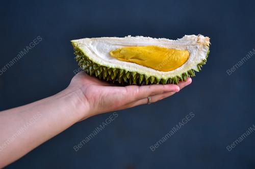 DURIAN